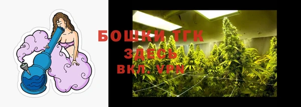 MDMA Верхний Тагил