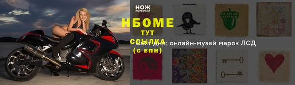 молекула духа Бородино