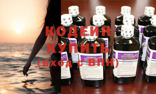 молекула духа Бородино