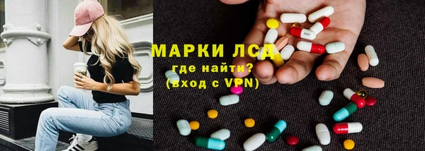 молекула духа Бородино