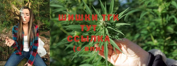 трава Бронницы
