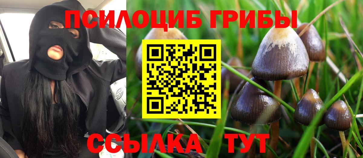 Псилоцибиновые грибы Cubensis Воскресенск